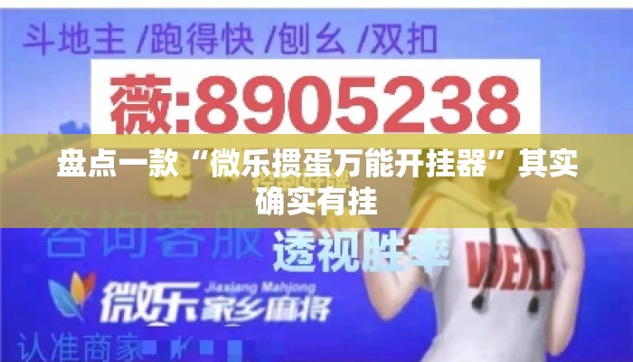 盘点一款“微乐掼蛋万能开挂器”其实确实有挂