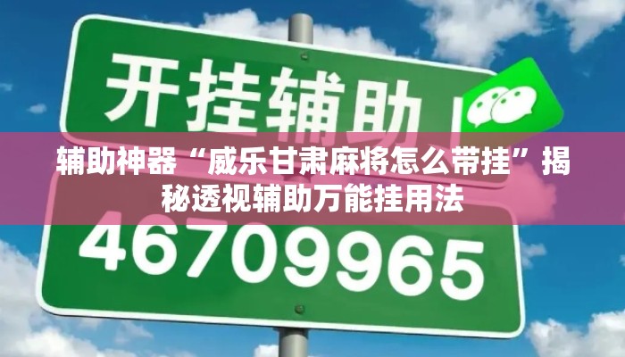 辅助神器“威乐甘肃麻将怎么带挂	”揭秘透视辅助万能挂用法