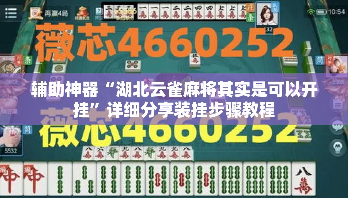 辅助神器“湖北云雀麻将其实是可以开挂	”详细分享装挂步骤教程