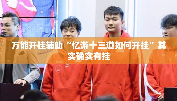 万能开挂辅助“忆游十三道如何开挂”其实确实有挂
