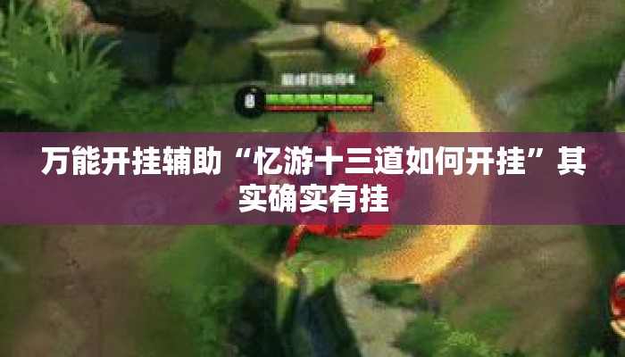 万能开挂辅助“忆游十三道如何开挂”其实确实有挂