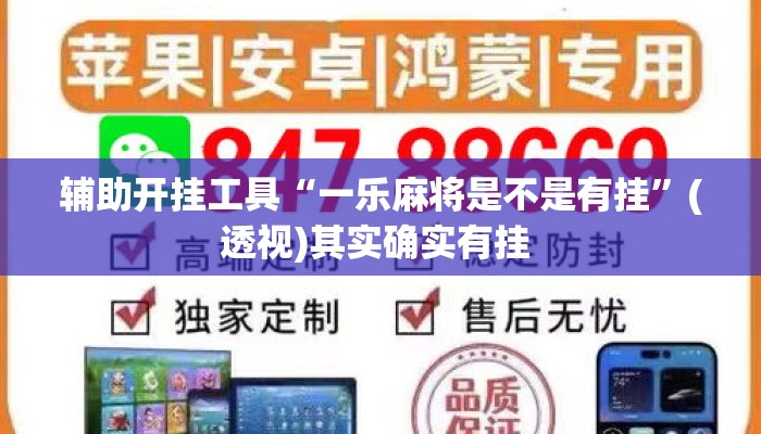 辅助开挂工具“一乐麻将是不是有挂	”(透视)其实确实有挂 