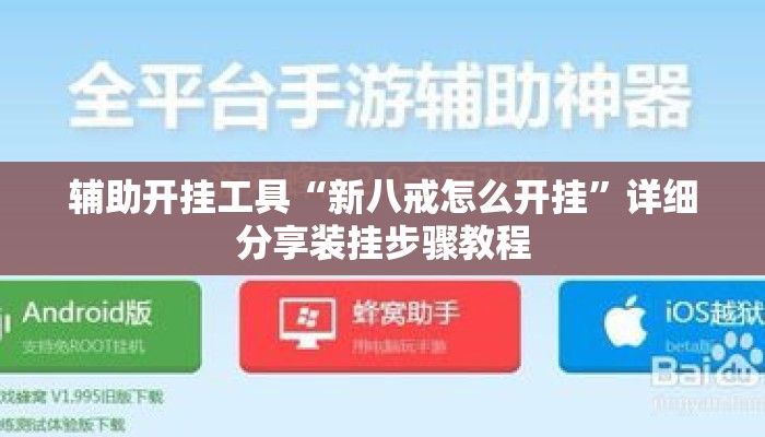 辅助开挂工具“新八戒怎么开挂”详细分享装挂步骤教程
