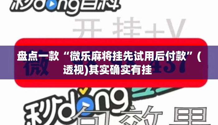 盘点一款“微乐麻将挂先试用后付款	”(透视)其实确实有挂 