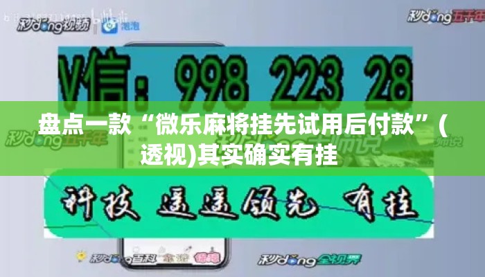 盘点一款“微乐麻将挂先试用后付款	”(透视)其实确实有挂 