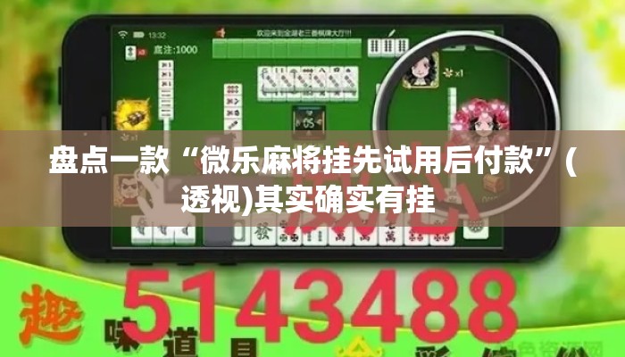 盘点一款“微乐麻将挂先试用后付款”(透视)其实确实有挂 