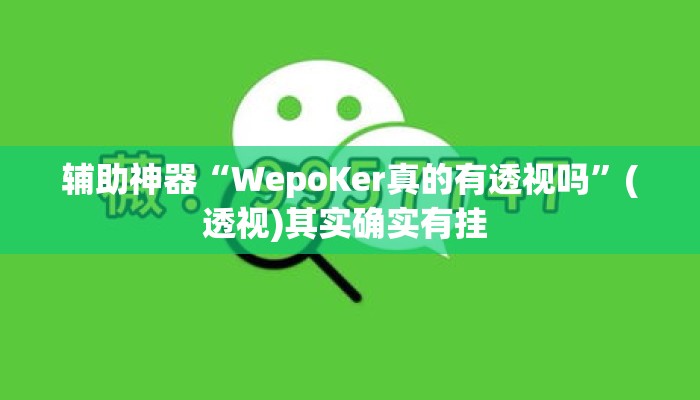 辅助神器“WepoKer真的有透视吗	”(透视)其实确实有挂 