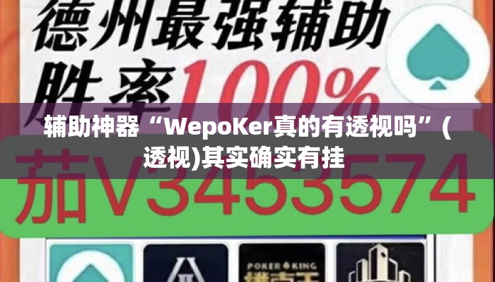 辅助神器“WepoKer真的有透视吗”(透视)其实确实有挂 