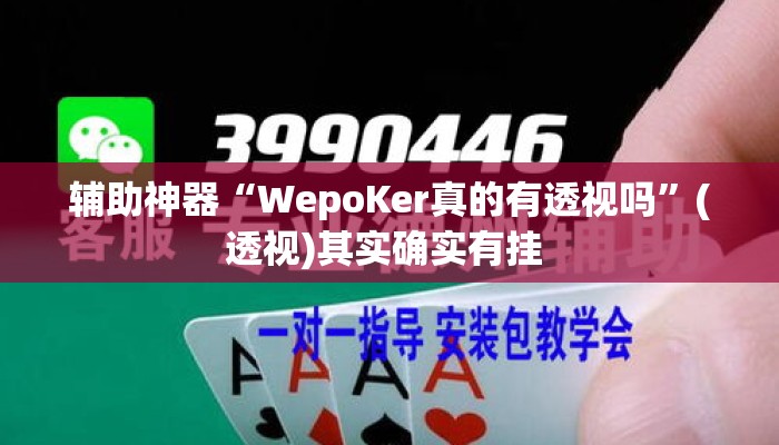 辅助神器“WepoKer真的有透视吗”(透视)其实确实有挂 