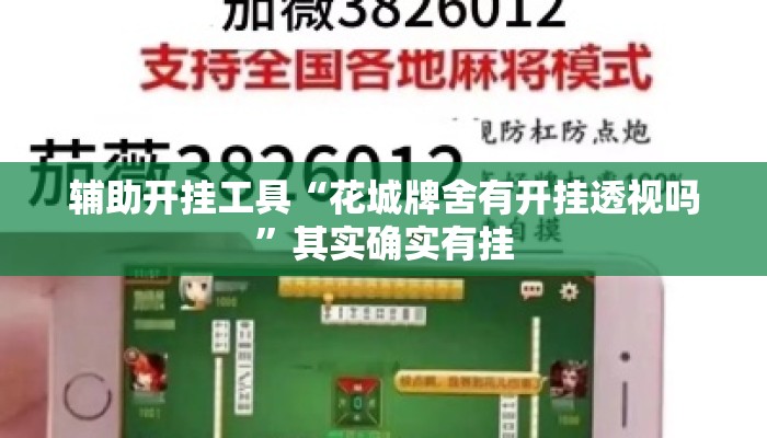 辅助开挂工具“花城牌舍有开挂透视吗”其实确实有挂