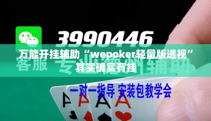 万能开挂辅助“wepoker轻量版透视”其实确实有挂