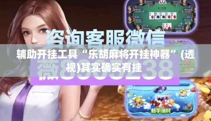 辅助开挂工具“乐胡麻将开挂神器”(透视)其实确实有挂 