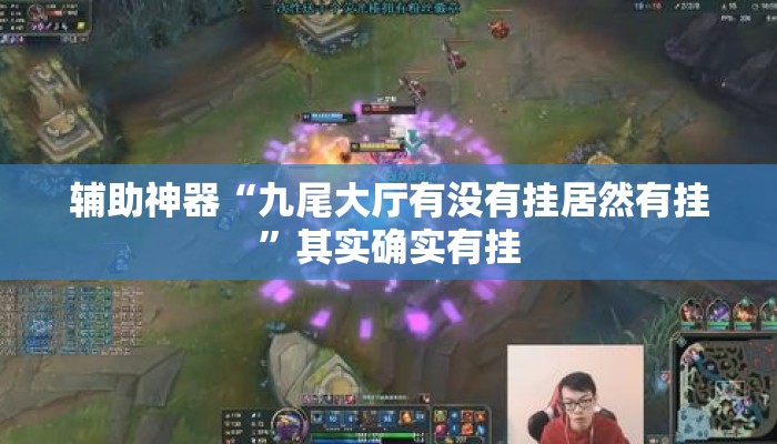 辅助神器“九尾大厅有没有挂居然有挂”其实确实有挂