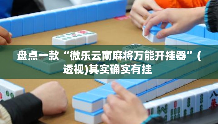 盘点一款“微乐云南麻将万能开挂器	”(透视)其实确实有挂 