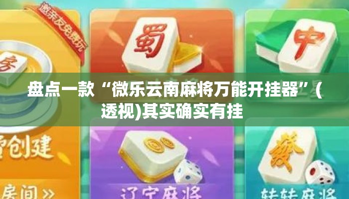 盘点一款“微乐云南麻将万能开挂器	”(透视)其实确实有挂 