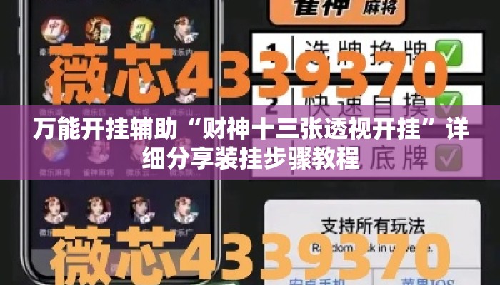 万能开挂辅助“财神十三张透视开挂”详细分享装挂步骤教程