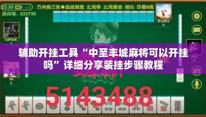 辅助开挂工具“中至丰城麻将可以开挂吗”详细分享装挂步骤教程