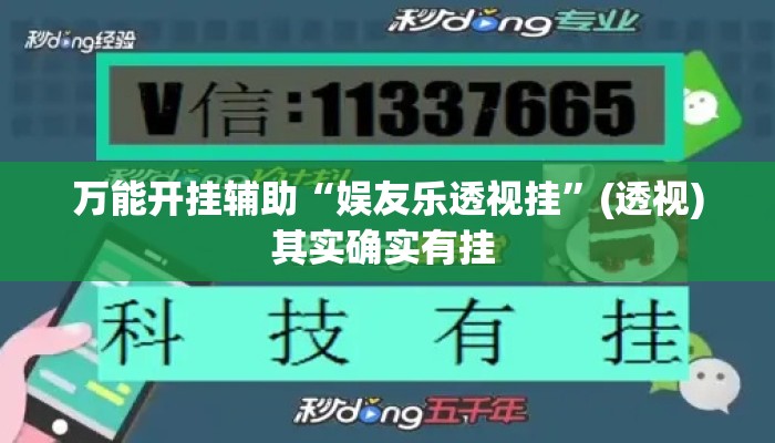 万能开挂辅助“娱友乐透视挂	”(透视)其实确实有挂 