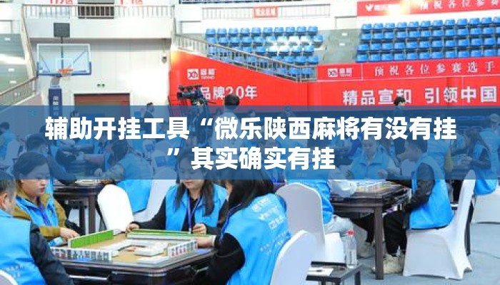 辅助开挂工具“微乐陕西麻将有没有挂”其实确实有挂