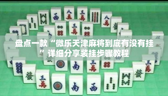 盘点一款“微乐天津麻将到底有没有挂”详细分享装挂步骤教程