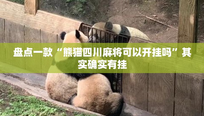 盘点一款“熊猫四川麻将可以开挂吗	”其实确实有挂