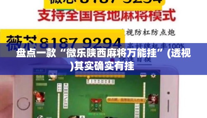 盘点一款“微乐陕西麻将万能挂”(透视)其实确实有挂 