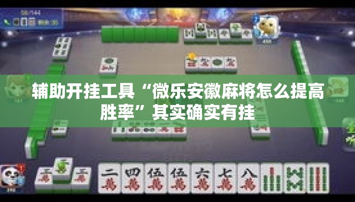 辅助开挂工具“微乐安徽麻将怎么提高胜率”其实确实有挂