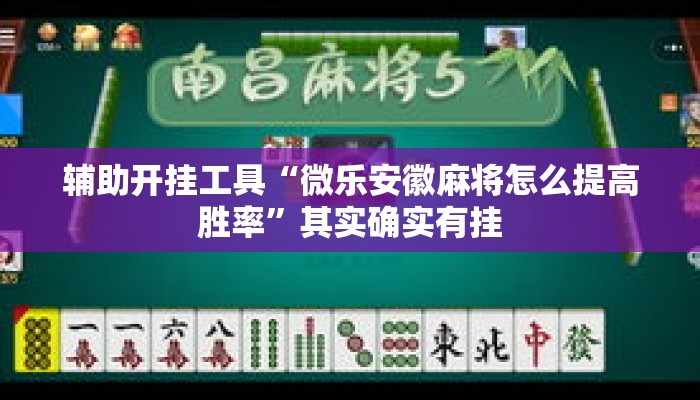 辅助开挂工具“微乐安徽麻将怎么提高胜率”其实确实有挂