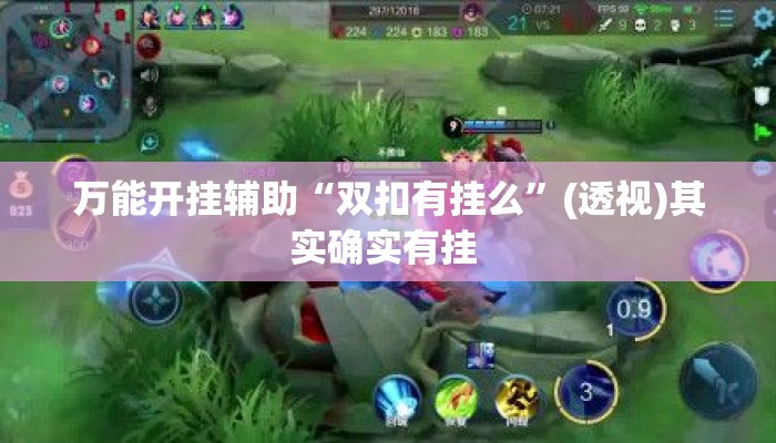万能开挂辅助“双扣有挂么”(透视)其实确实有挂 