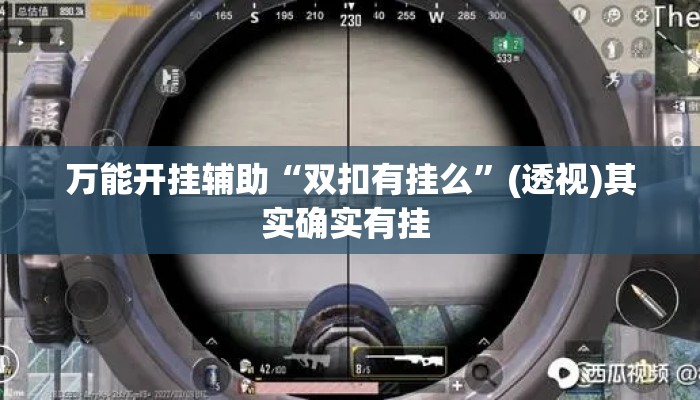 万能开挂辅助“双扣有挂么”(透视)其实确实有挂 