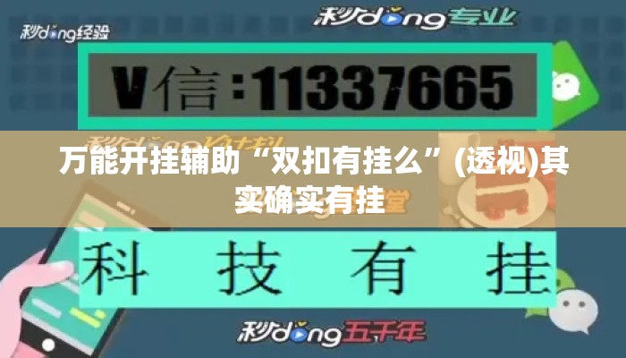 万能开挂辅助“双扣有挂么”(透视)其实确实有挂 