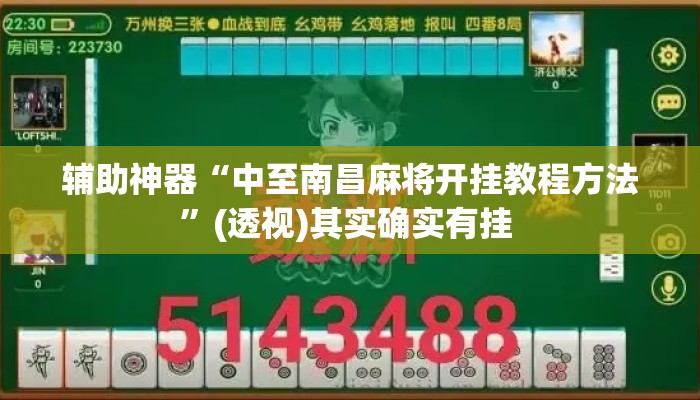 辅助神器“中至南昌麻将开挂教程方法”(透视)其实确实有挂 