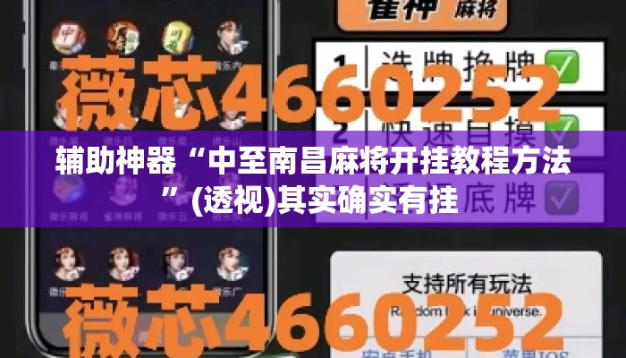 辅助神器“中至南昌麻将开挂教程方法”(透视)其实确实有挂 