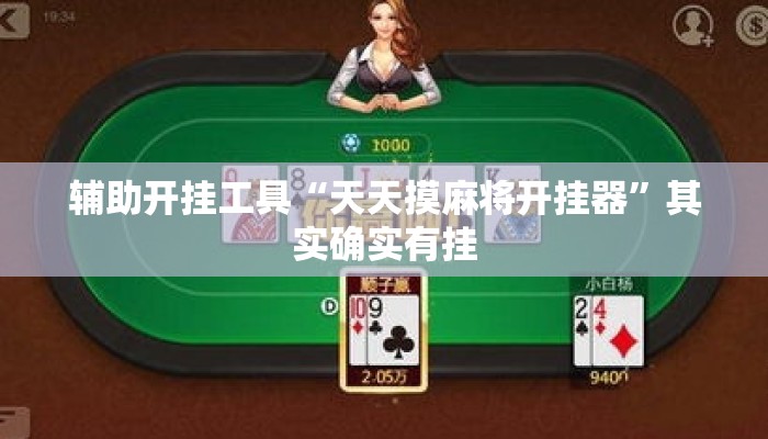 辅助开挂工具“天天摸麻将开挂器	”其实确实有挂
