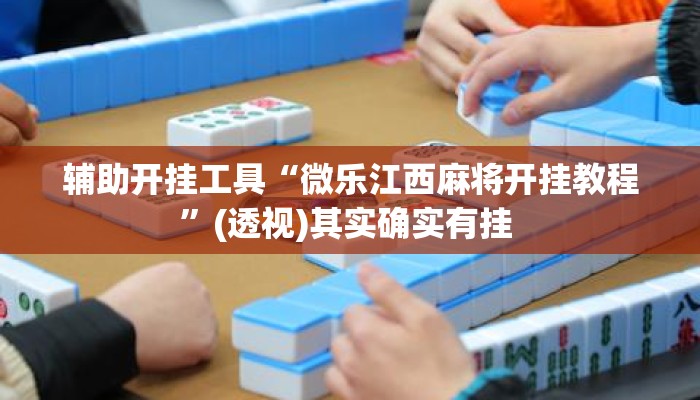 辅助开挂工具“微乐江西麻将开挂教程”(透视)其实确实有挂 