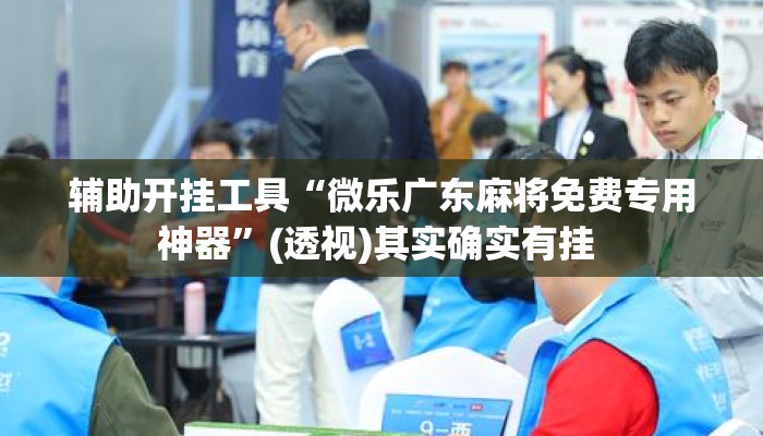 辅助开挂工具“微乐广东麻将免费专用神器	”(透视)其实确实有挂 