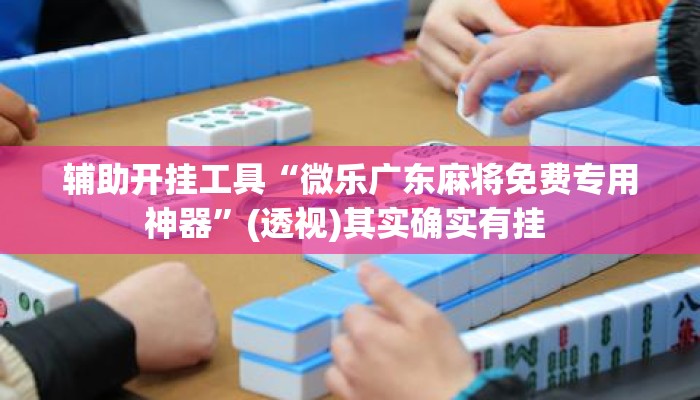 辅助开挂工具“微乐广东麻将免费专用神器”(透视)其实确实有挂 