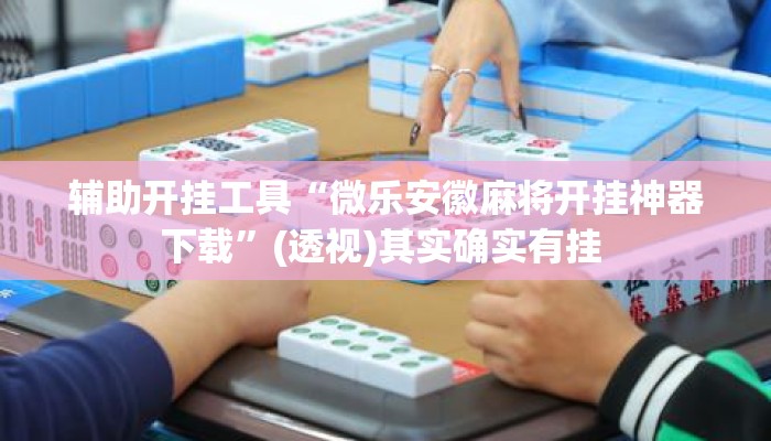 辅助开挂工具“微乐安徽麻将开挂神器下载”(透视)其实确实有挂 