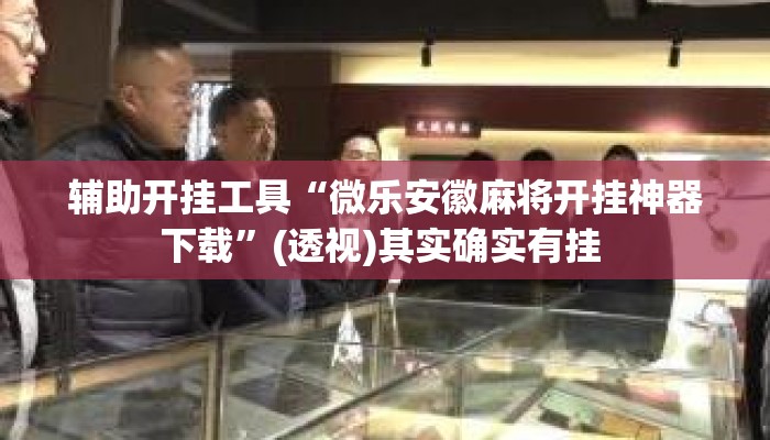 辅助开挂工具“微乐安徽麻将开挂神器下载	”(透视)其实确实有挂 
