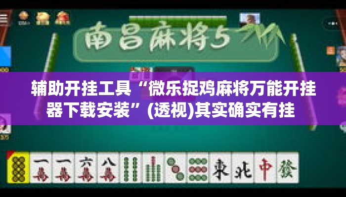 辅助开挂工具“微乐捉鸡麻将万能开挂器下载安装”(透视)其实确实有挂 