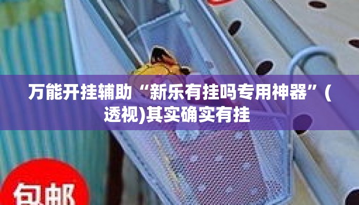 万能开挂辅助“新乐有挂吗专用神器”(透视)其实确实有挂 