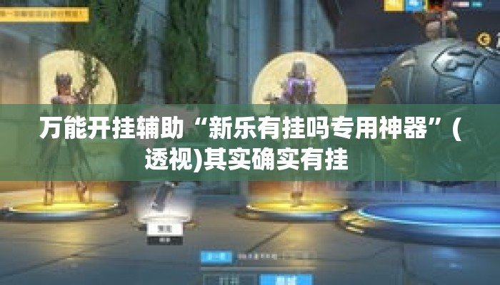 万能开挂辅助“新乐有挂吗专用神器	”(透视)其实确实有挂 