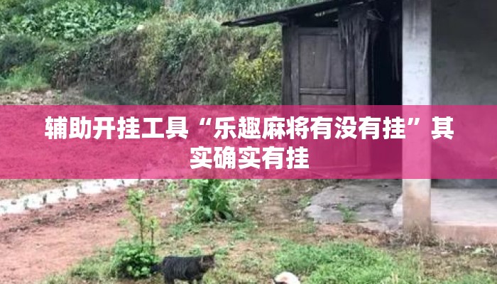 辅助开挂工具“乐趣麻将有没有挂”其实确实有挂