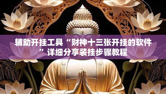 辅助开挂工具“财神十三张开挂的软件	”详细分享装挂步骤教程