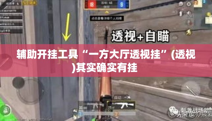 辅助开挂工具“一方大厅透视挂”(透视)其实确实有挂 