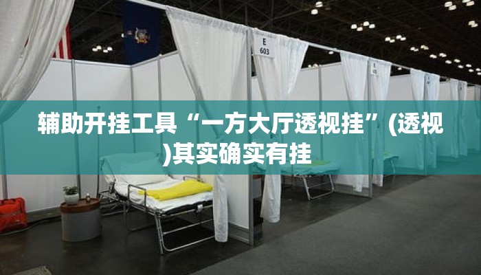 辅助开挂工具“一方大厅透视挂”(透视)其实确实有挂 