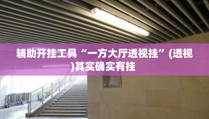 辅助开挂工具“一方大厅透视挂	”(透视)其实确实有挂 