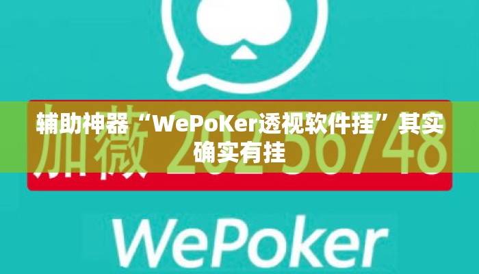 辅助神器“WePoKer透视软件挂	”其实确实有挂