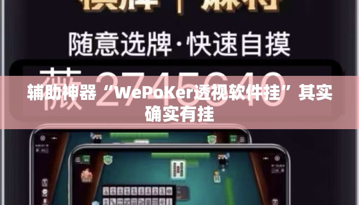 辅助神器“WePoKer透视软件挂”其实确实有挂