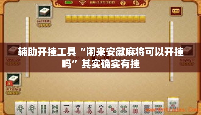 辅助开挂工具“闲来安徽麻将可以开挂吗	”其实确实有挂